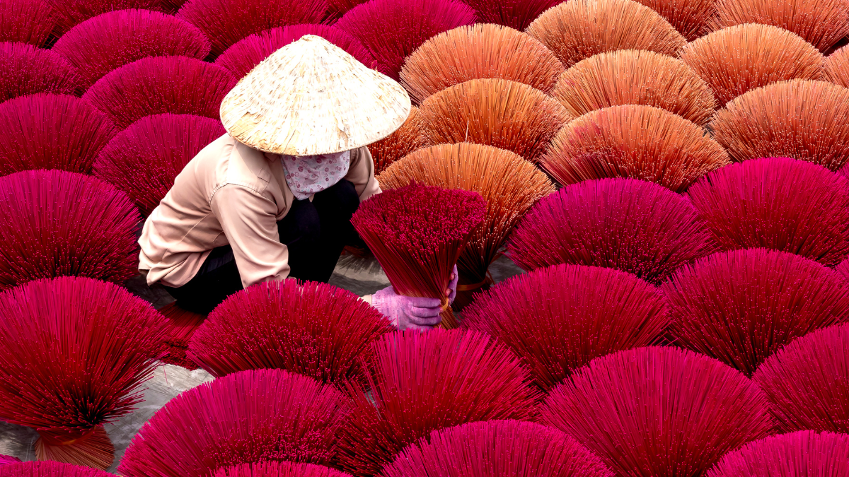 Vietnam female in conical hat assorting incense sticks in daytime