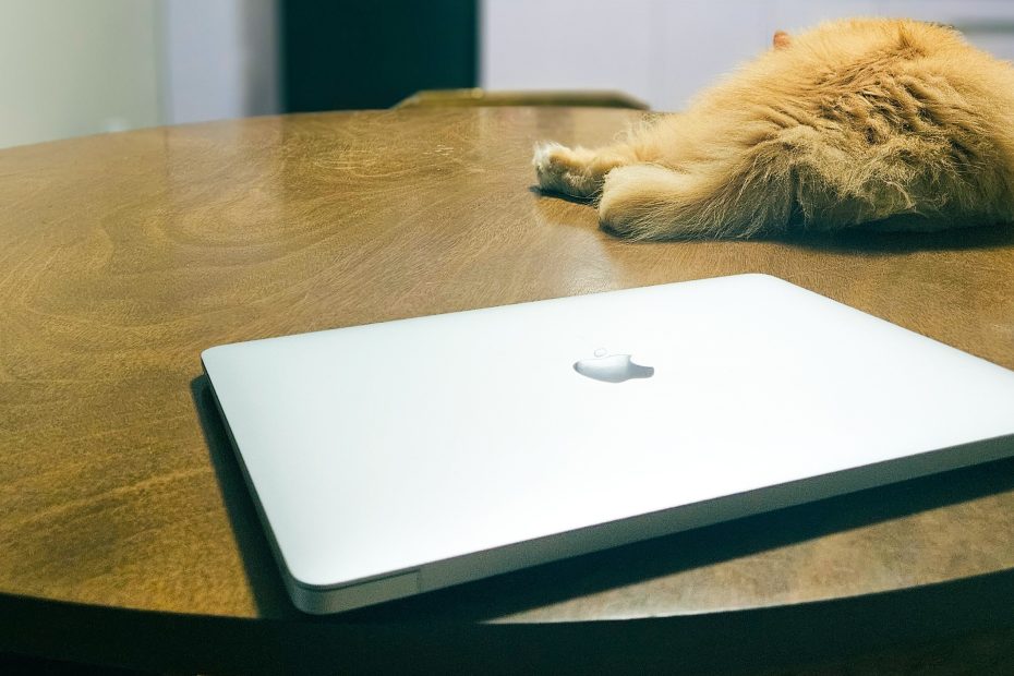 cybersecurity content writer