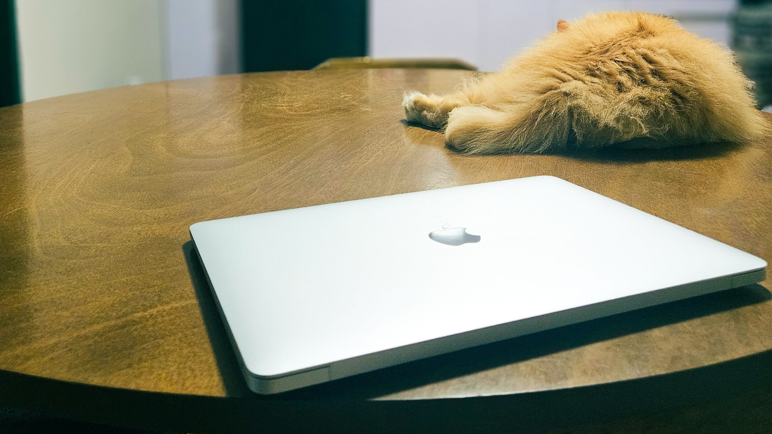 cybersecurity content writer